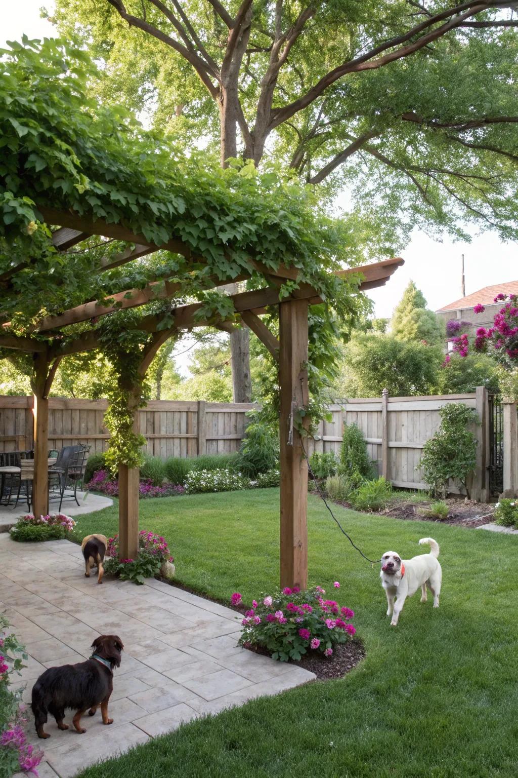 A cool sanctuary for pets and their owners, showcasing a beautiful arbor and lush vegetation.