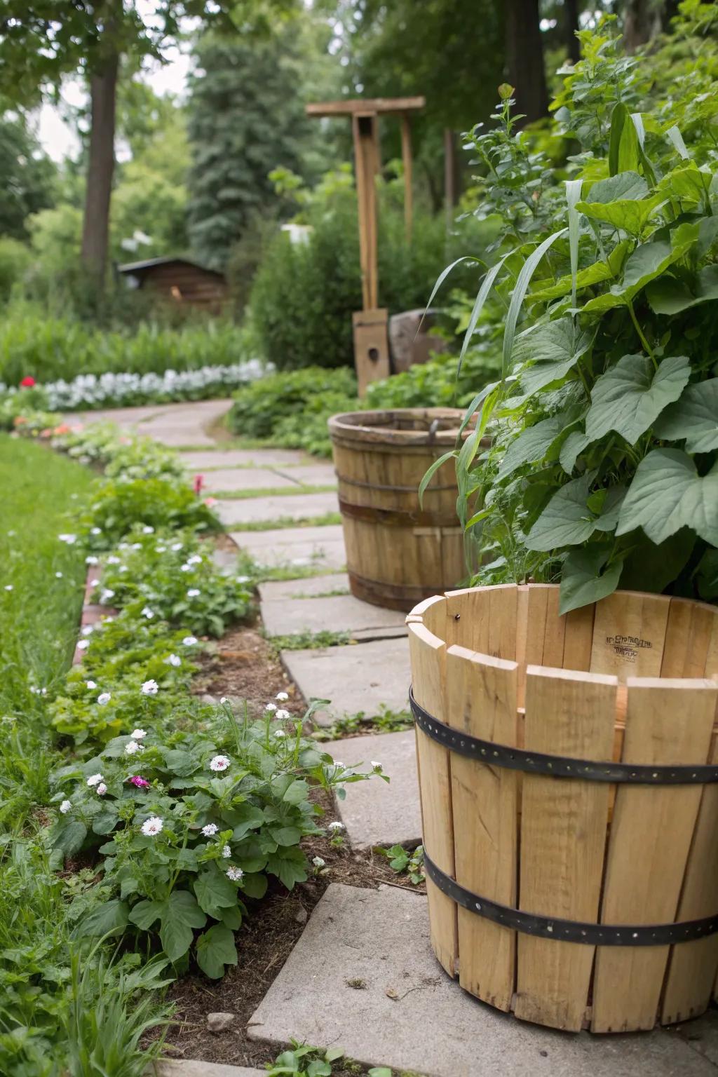 Buckets with natural wood wraps creating an earthy garden feel.