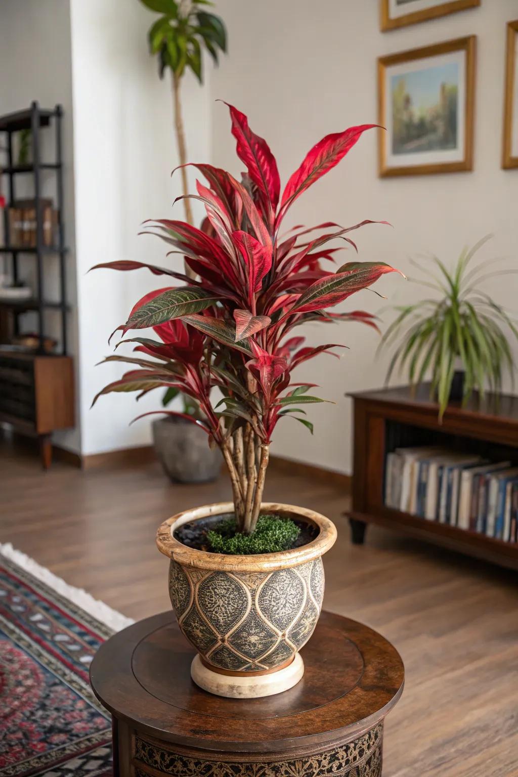 Incorporate brave, vibrant hues via a crimson chinese evergreen.