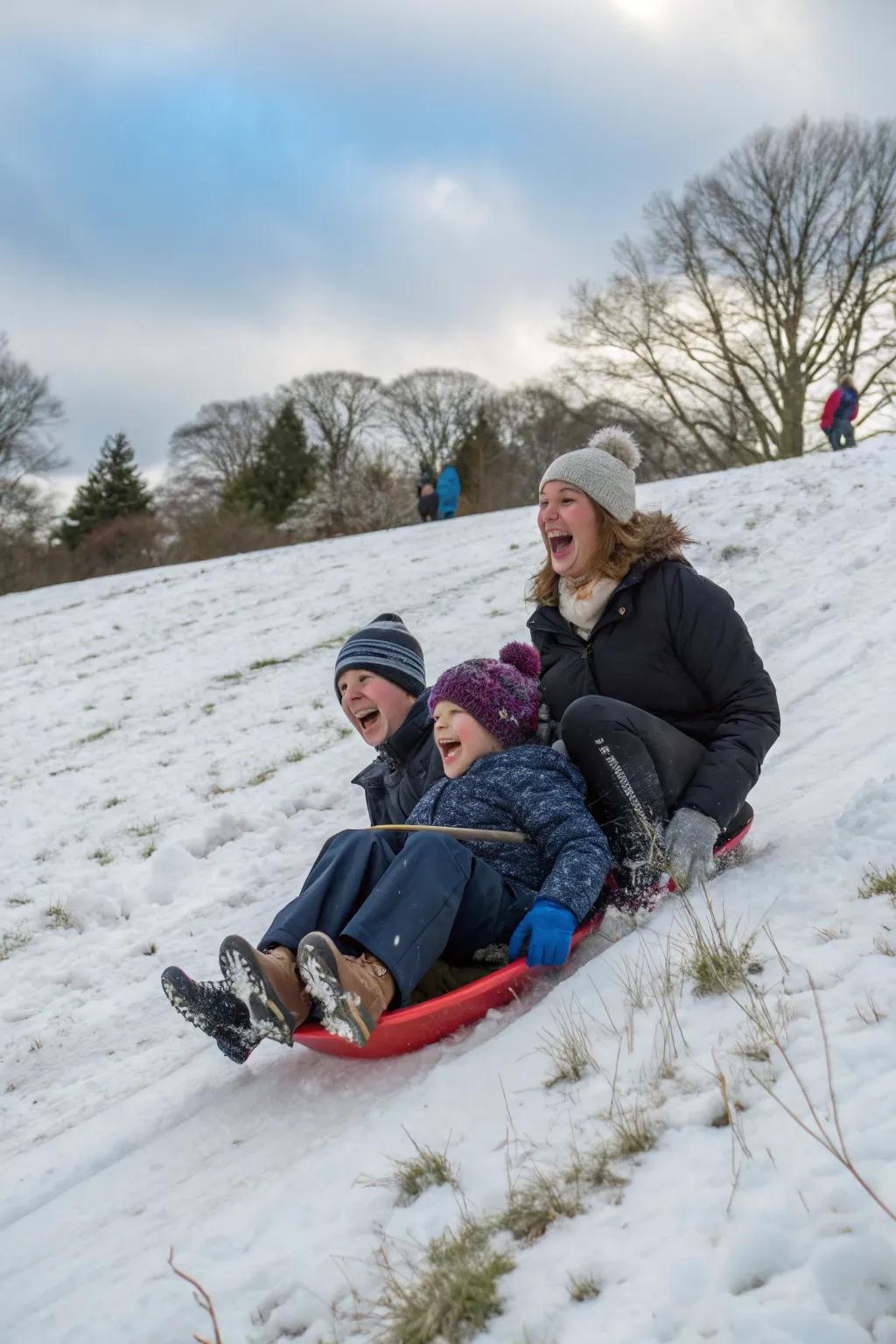 Capture the thrill of a family sledding escapade.