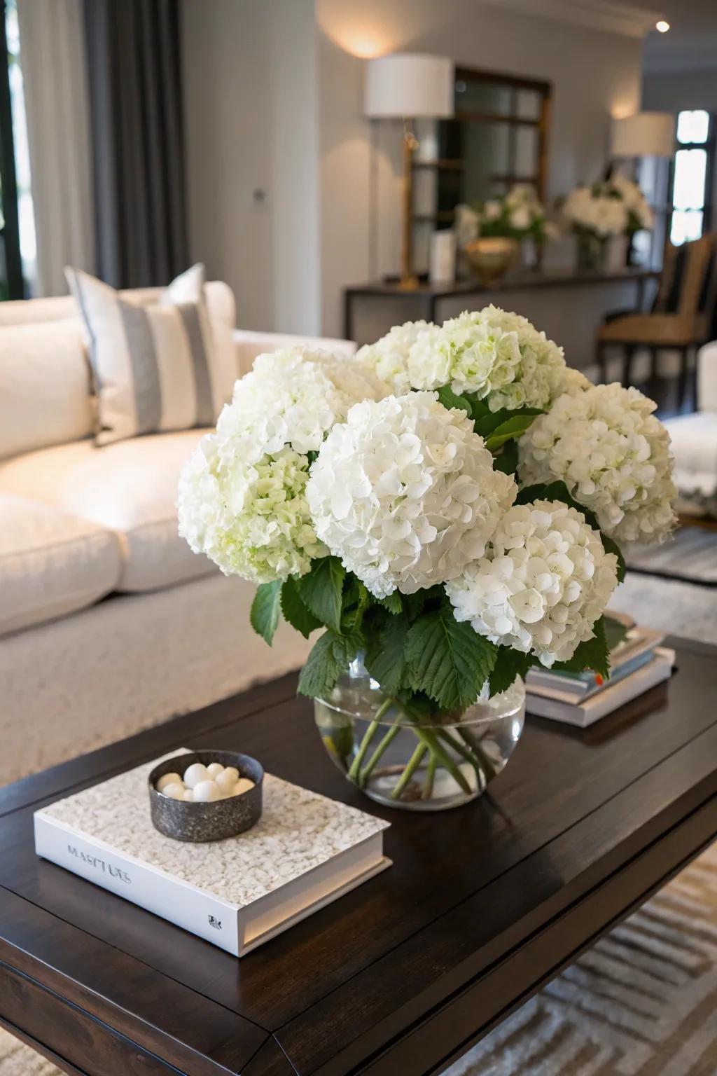 White hydrangeas making a bold statement in a living room.