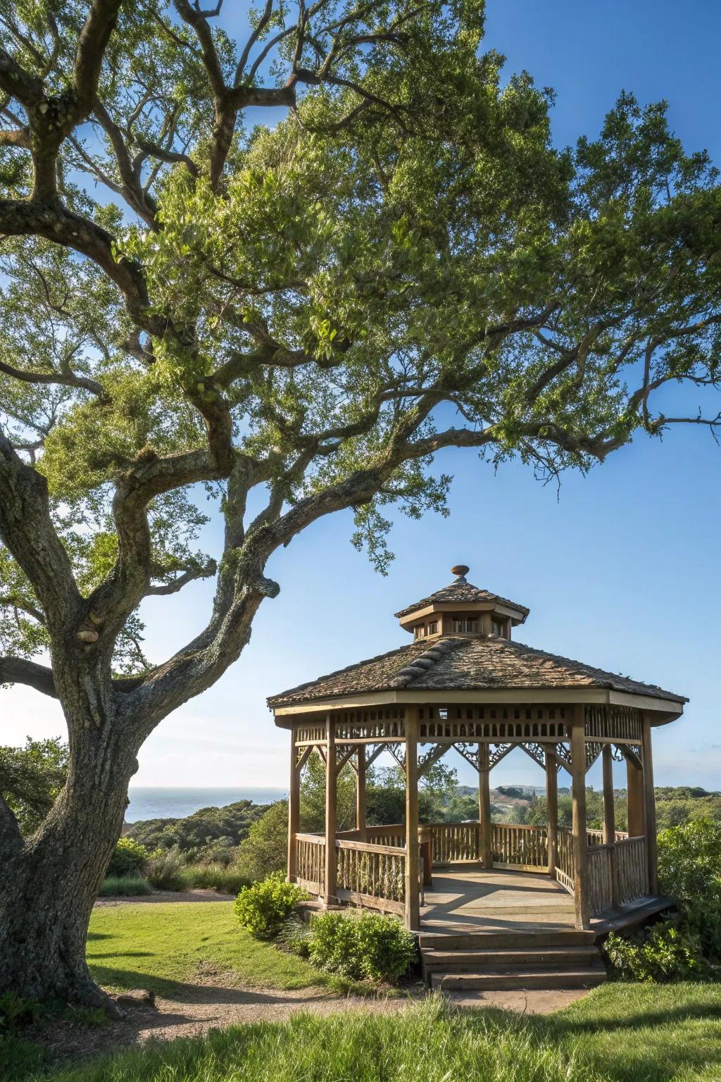 A gazebo built around an existing tree, merging natural beauty with creative design.