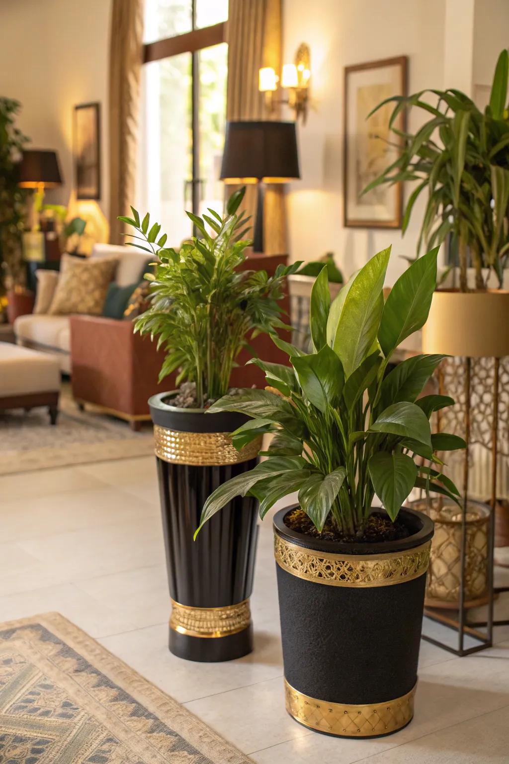 Indoor plants providing a refreshing contrast.