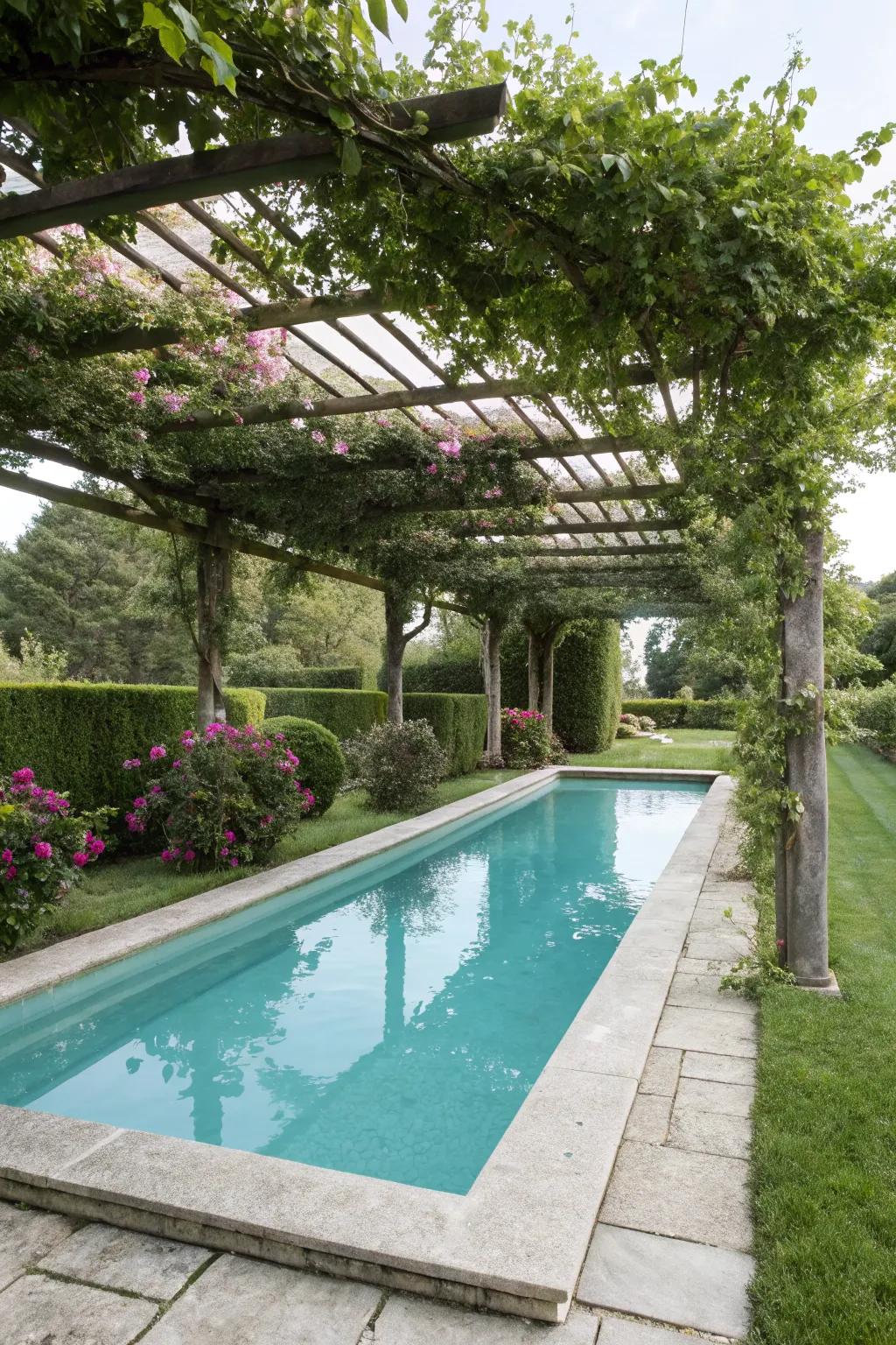 A pavilion with scaling flora offers raw beauty and sun protection.