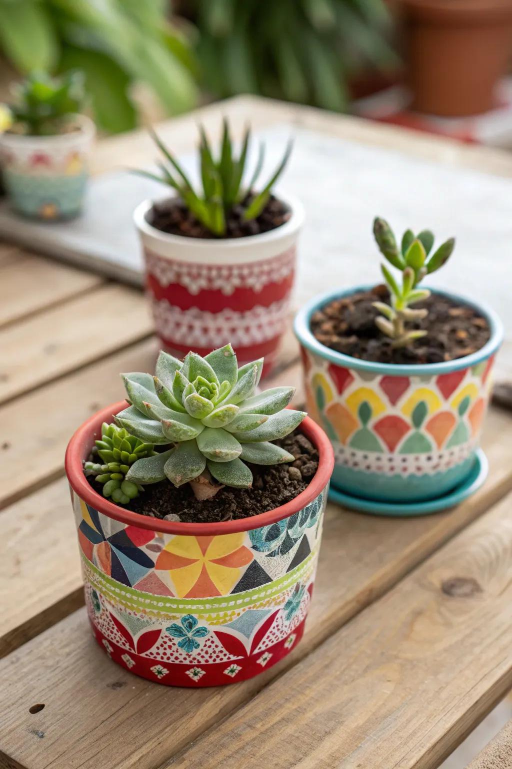 Succulent plants are lovely, low-maintenance gifts that guests will cherish.