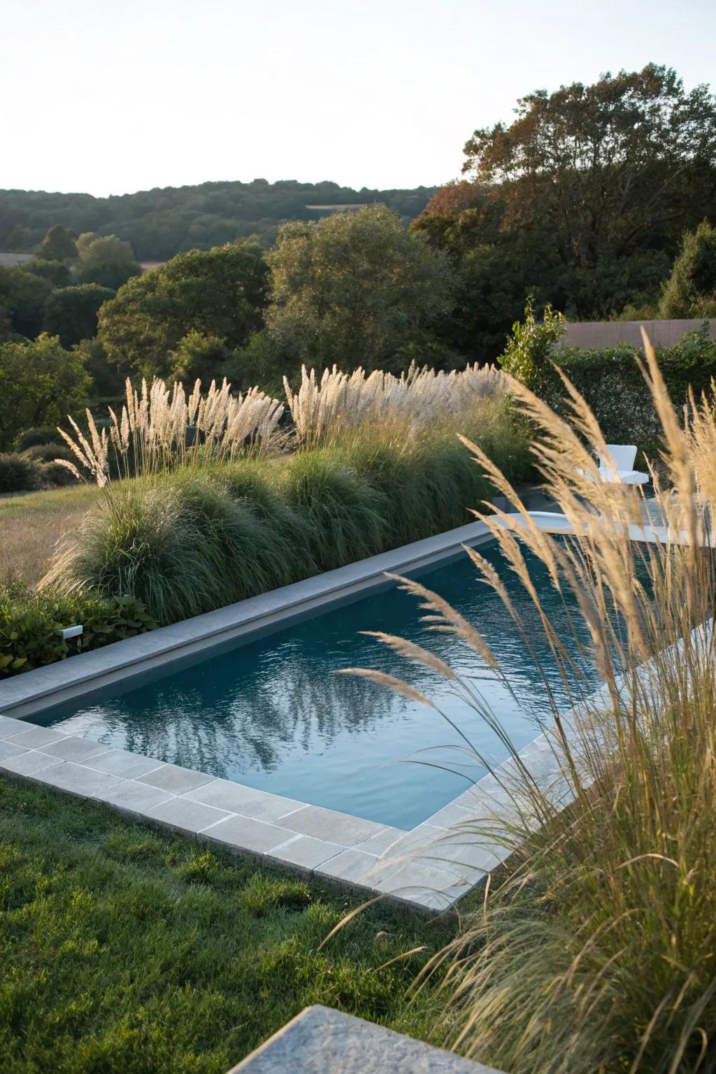Elevated grasses offer an abundant and vibrant outline for the pool.