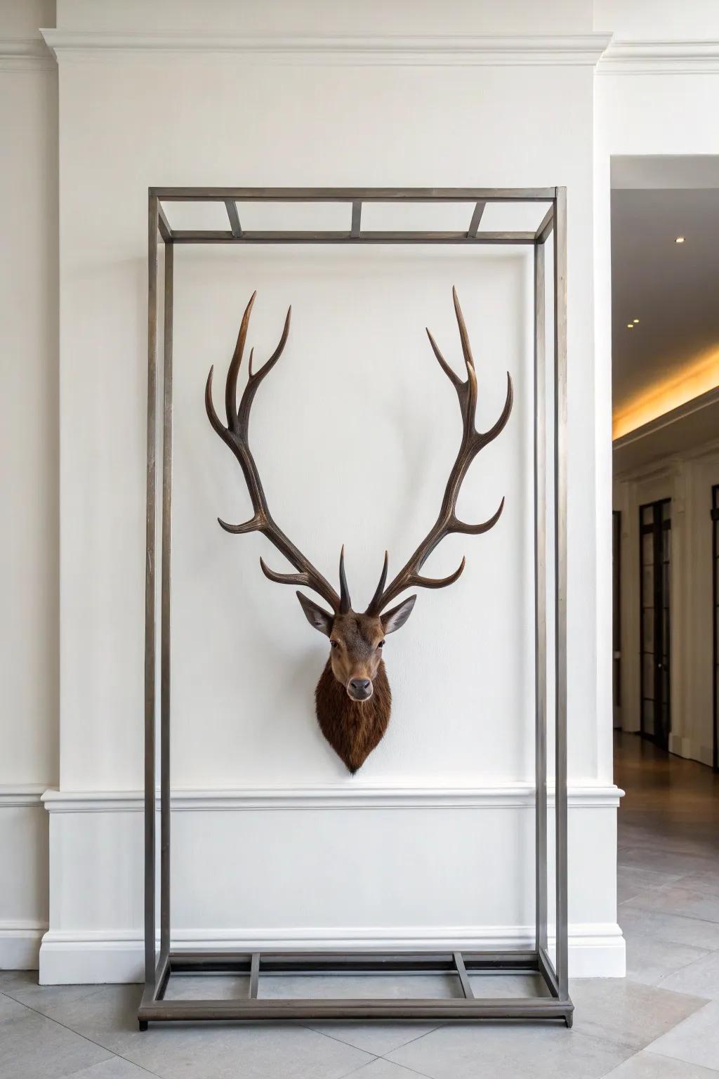 Deer antlers encased in a sleek metal frame bring a touch of minimalism to a contemporary wall.