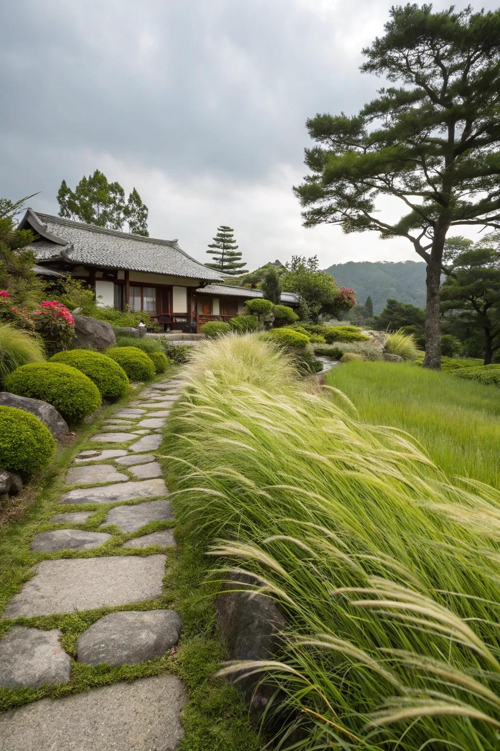 Breeze Dance Grass enlivens the garden with its motion and spirit.