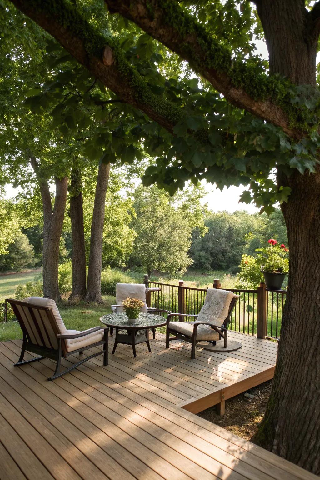 Natural tree shade cultivates a tranquil, eco-conscious deck setting.