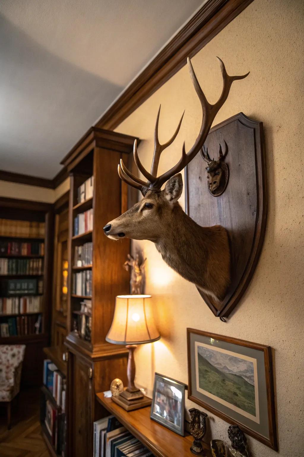 Deer antlers displayed on a time-worn panel lend historical charm to a snug study.