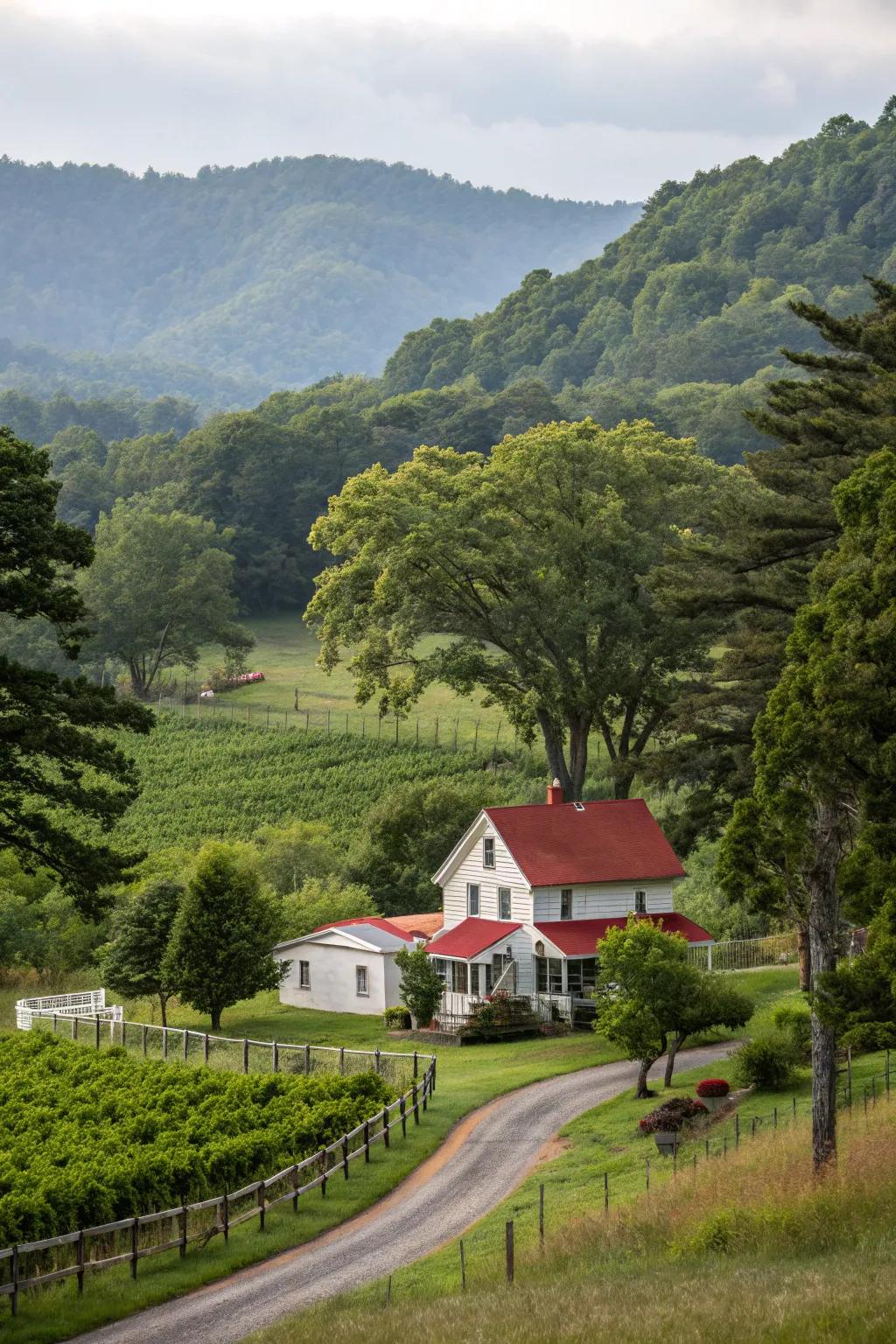 Mature trees imparting shade and structural integrity to the landscape.
