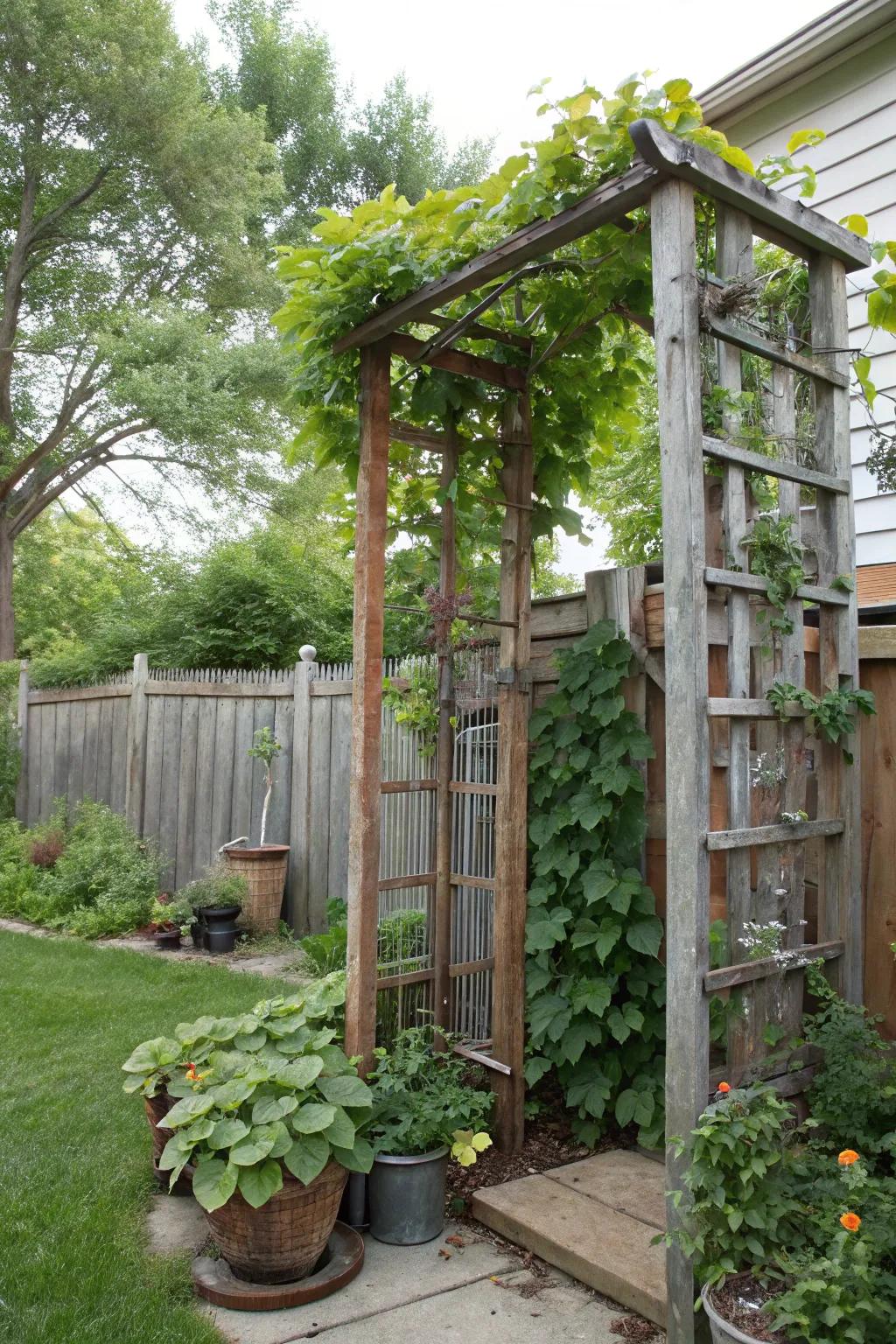 Recycled material trellises add character and privacy.