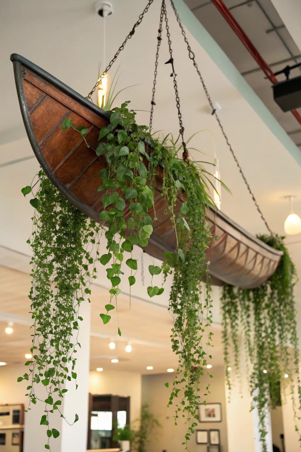 An indoor suspended canoe planter creates a floating green oasis.