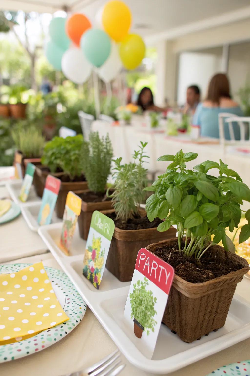 Interactive mini herb garden kits as party favors.